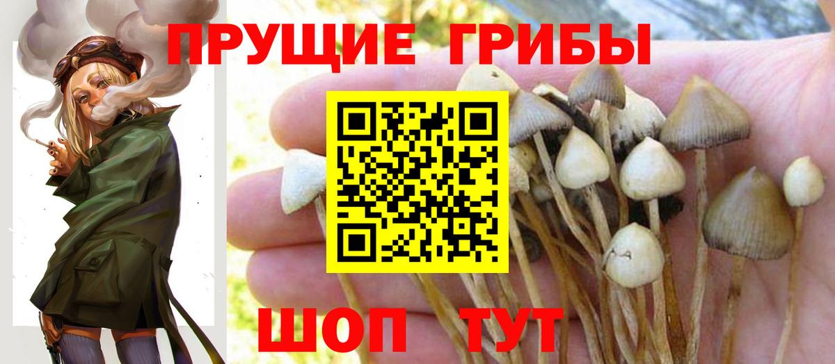 Саяногорск  Экстази  МДМА  Вход с VPN  Наркошоп  Конопля  ГАШИШ  МЕФ кристаллы  КОКАИН 