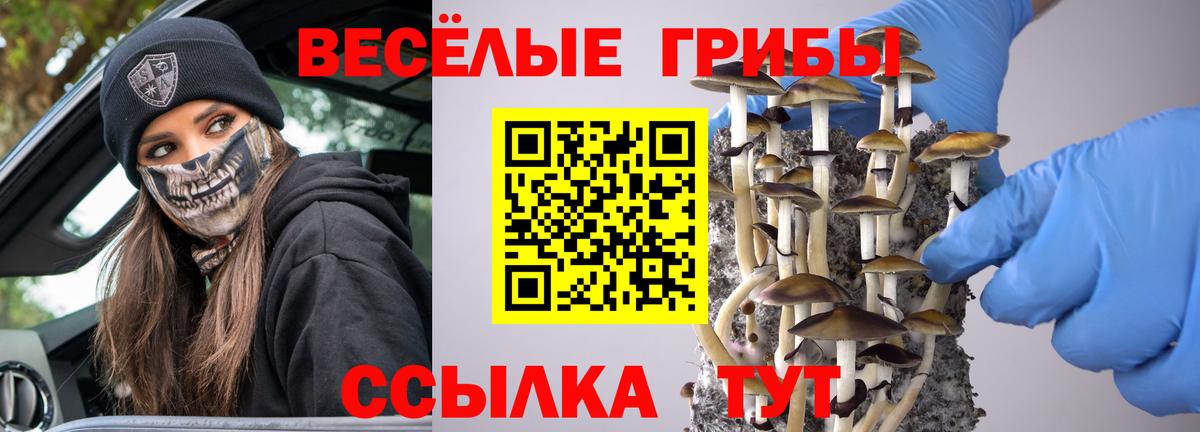 Галлюциногенные грибы ЛСД Саяногорск